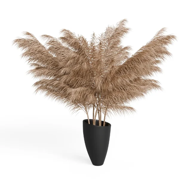 Pampas 1 - Dried Grass Arrangement — Hero view